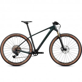 2024 Radon JEALOUS 10.0 EA Mountain Bike