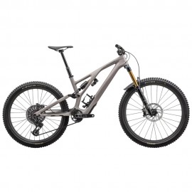 2024 Specialized Stumpjumper Evo Pro Mountain Bike 2024 Specialized Stumpjumper Evo Pro Mountain Bike