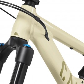 2025 Canyon Torque 5 Mountain Bike