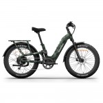 Himiway D5 2.0 Camo E-Bikes