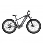 Mokwheel Basalt E-bike