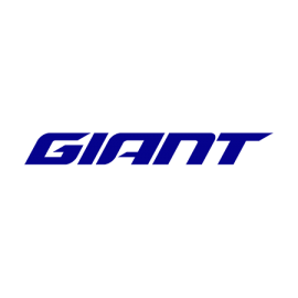 Giant Mountain Bike