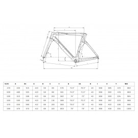 Bianchi OLTRE COMP - 105 Di2 - Carbon Road Bike - 2025