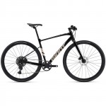 Giant Fastroad AR 2 | V2 - Fitness Bike 2025