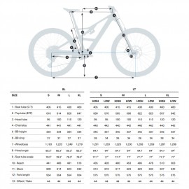 Orbea RISE SL M20 Electric Mountain Bike - 2025 - Cosmic Carbon View - Golden Sand (gloss)