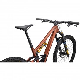 Specialized STUMPJUMPER 15 - Öhlins Coil - Carbon Mountain Bike - 2025