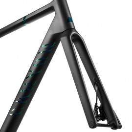 2023 Canyon Ultimate CFR Disc Frame And Brake Kit
